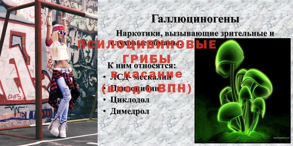 мяу мяу мука Балахна