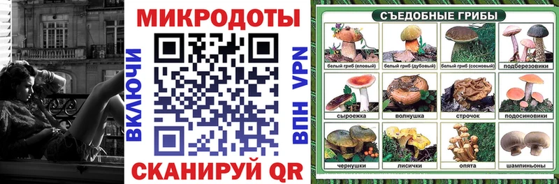 Галлюциногенные грибы Psilocybe  Белово 